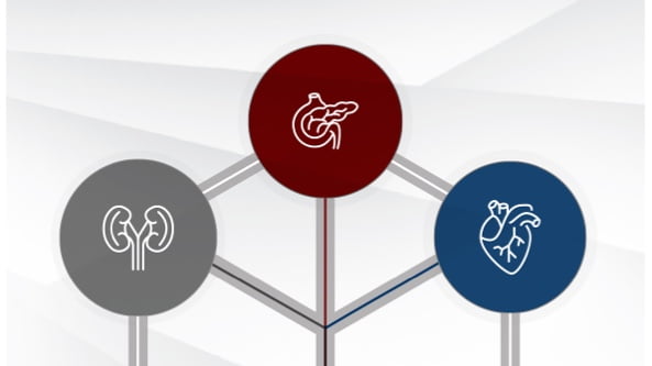 Cardio‐renal‐metabolic systems link infographic